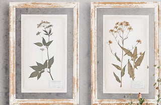 Wood Framed Pressed Flower Prints  Set of 6