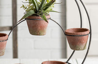 Round Plant Stand with Terracotta Pots