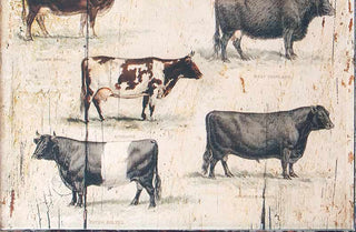 Framed Vintage Cow Picture