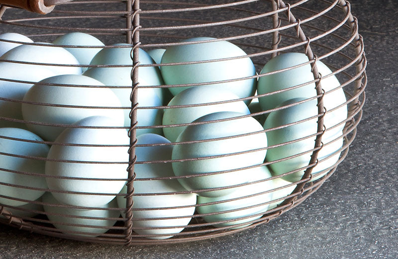 57 Egg Baskets ideas  egg basket, wire baskets, wire egg basket