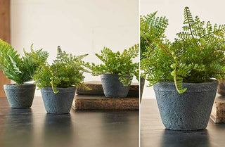 Potted Faux Ferns  Set of 3