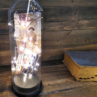 Fire Fly Light Up Glass Dome Cloche