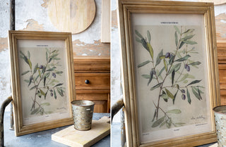 Framed Botanical Olive Print