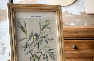 Framed Botanical Olive Print