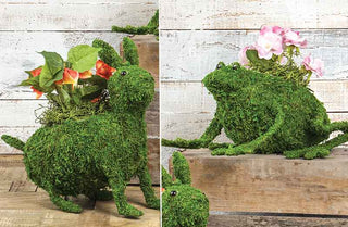 *LARGE* Bunny and Frog Moss Covered Planter