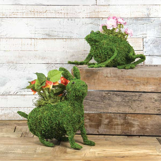*LARGE* Bunny and Frog Moss Covered Planter