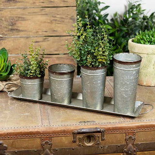 Galvanized Metal Planter Buckets With Tray