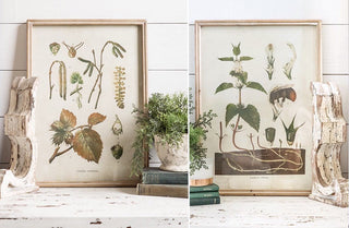 Large Natural Herb Prints  Set of 2