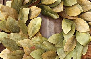Magnolia Leaf Wreath