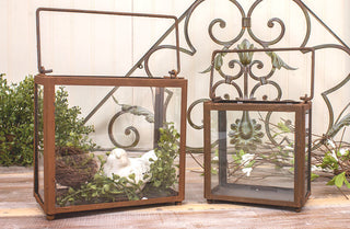 Set of 2 Rustic Glass Terrariums