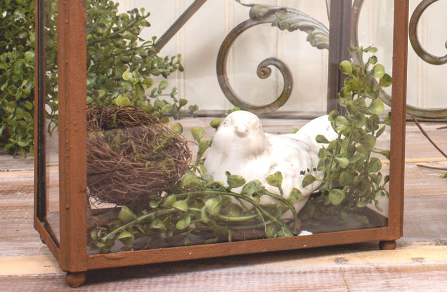 Set of 2 Rustic Glass Terrariums - Decor Steals